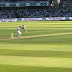 Cricket Test Image