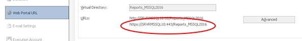 ms sql reporting services https