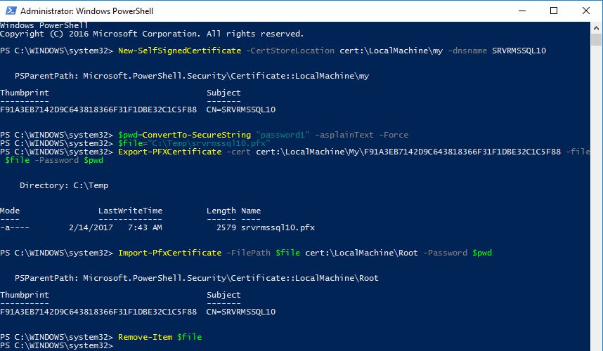 ms sql reporting services https